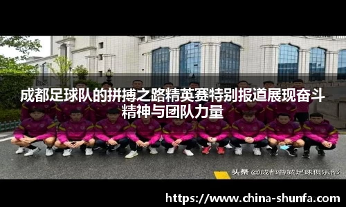 成都足球队的拼搏之路精英赛特别报道展现奋斗精神与团队力量